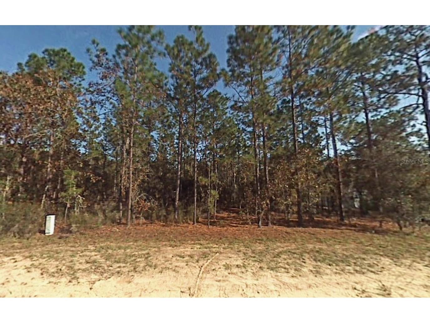 Lot 5 SW 166th Court Road Dunnellon FL 34432 K4903412 image1
