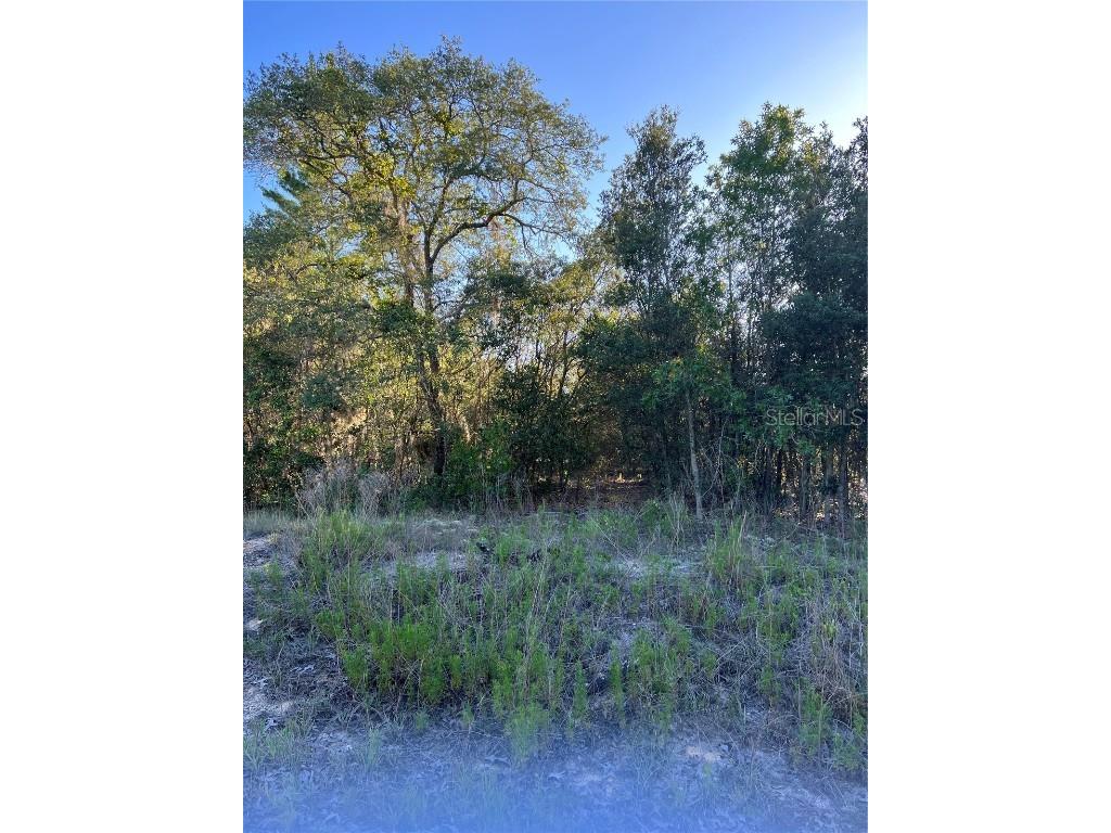 Lot 5 SW Jonquil Court Dunnellon FL 34431 OM659340 image1