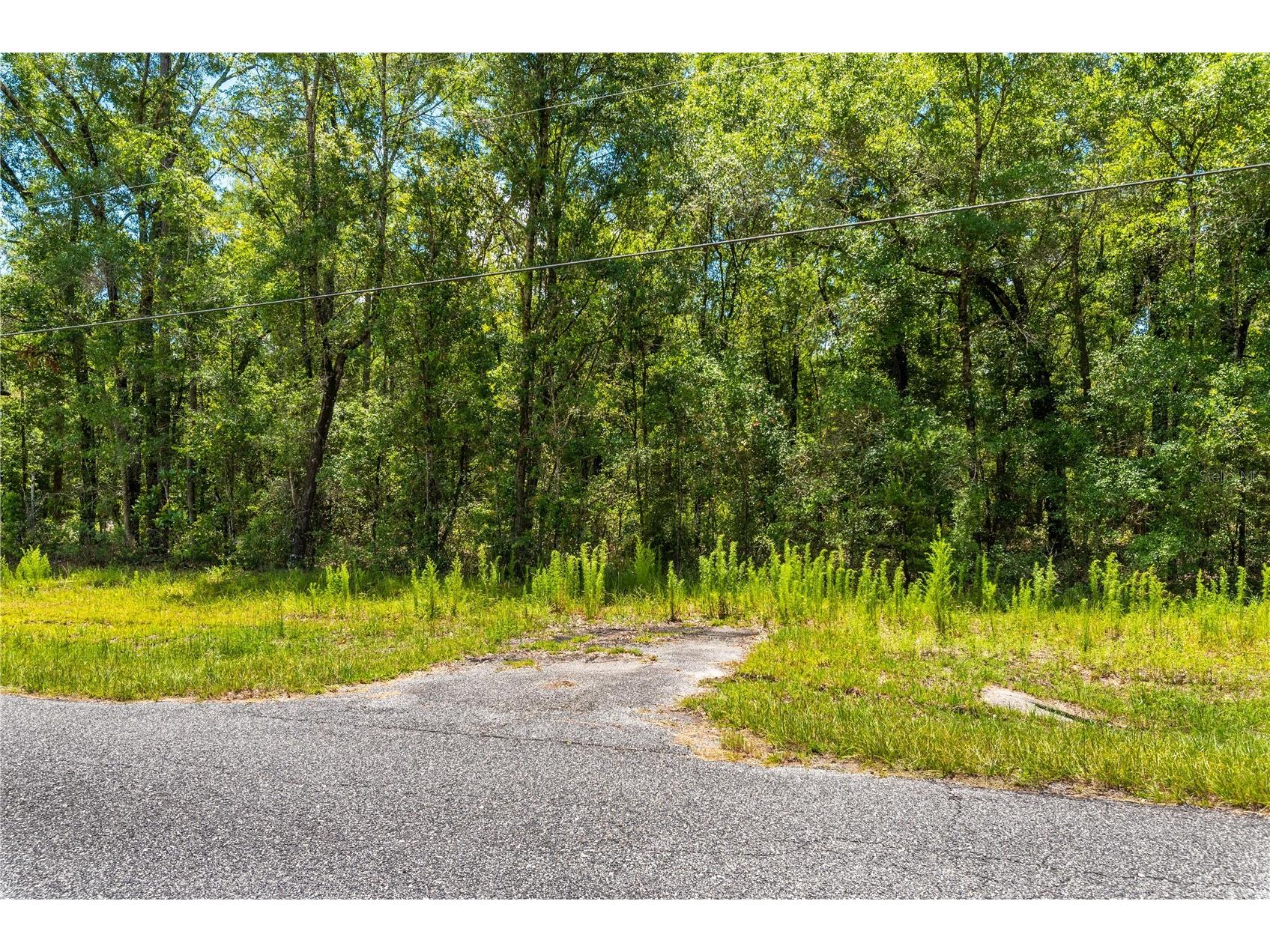 Lot 5 SW Meadowlands Drive Lake City FL 32024 O6423910 image10