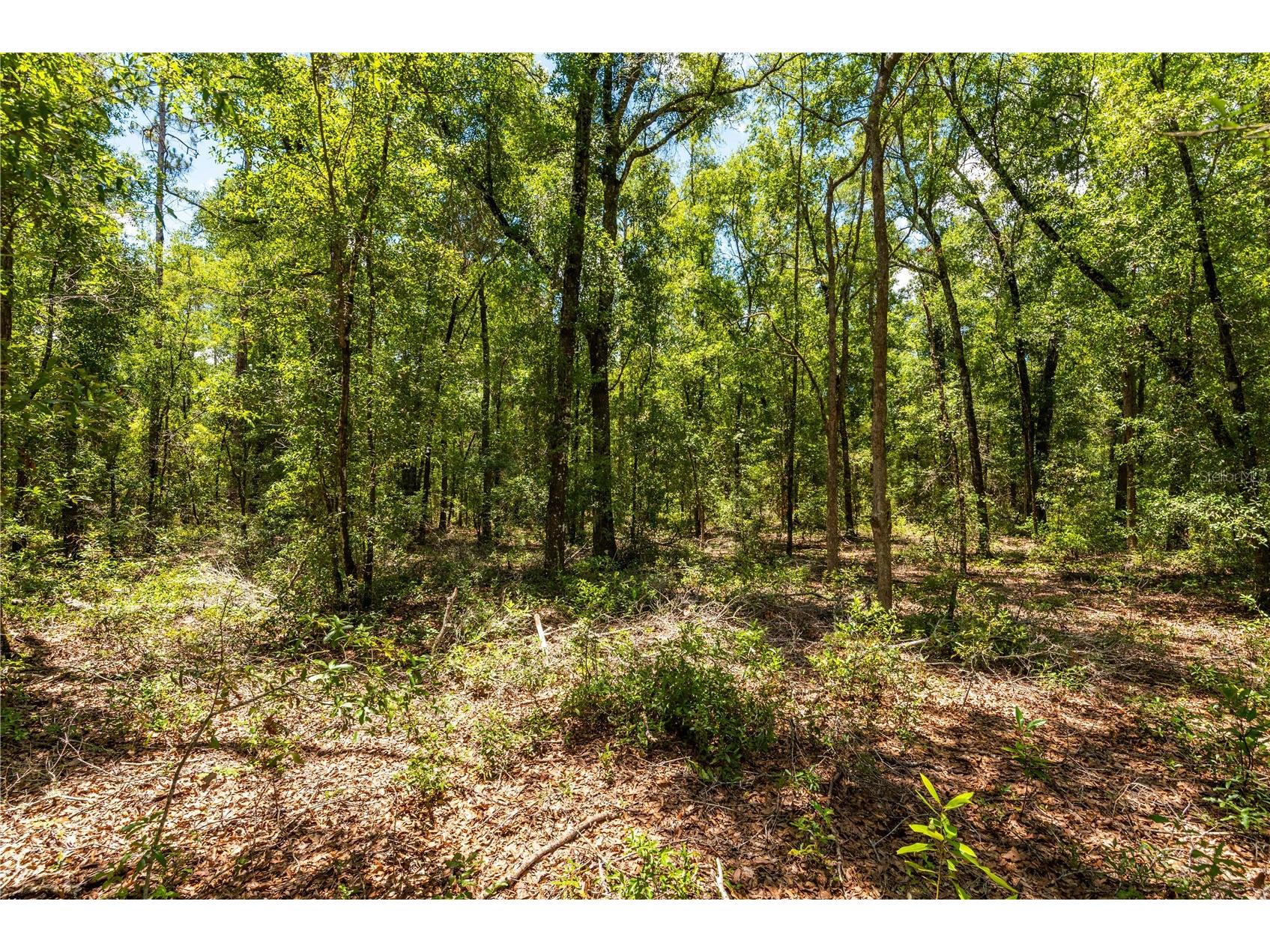 Lot 5 SW Meadowlands Drive Lake City FL 32024 O6423910 image11