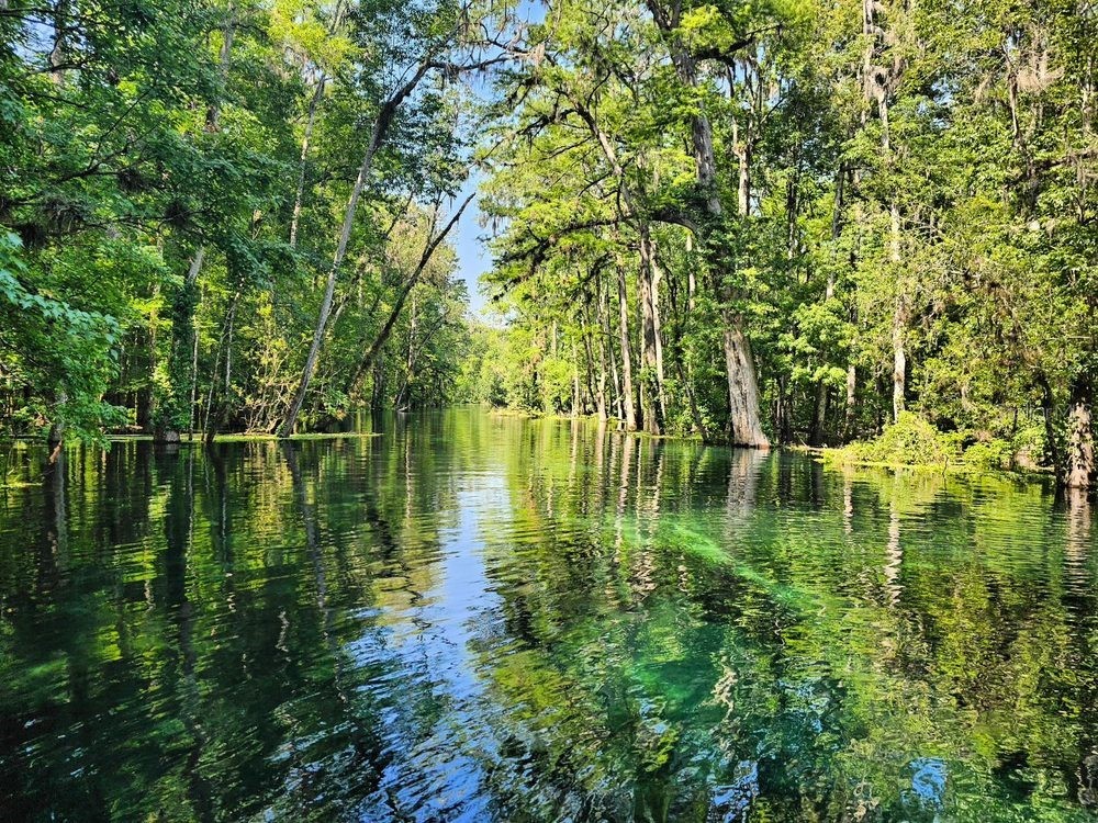 Lot 5 SW Meadowlands Drive Lake City FL 32024 O6423910 image21