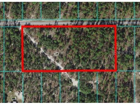 Lot 5 SW North Lake Boulevard Dunnellon FL 34431 OM622466 image1