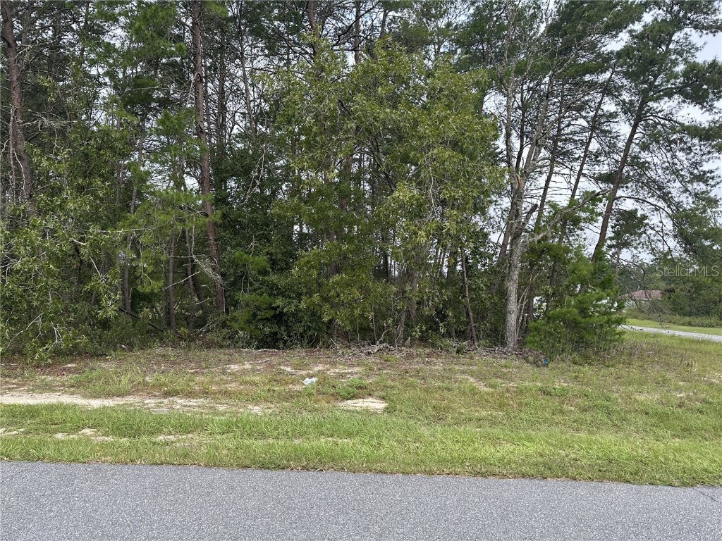 Lot 53 SW 21st Terrace Ocala FL 34473 OM665493 image1
