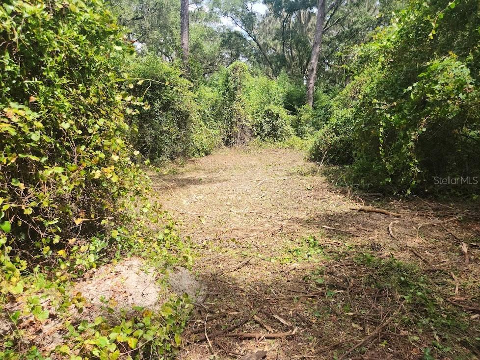Lot 53 SW Shorewood Drive Dunnellon FL 34431 OM709974 image10