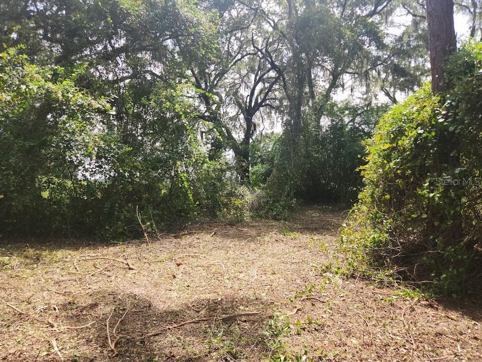 Lot 53 SW Shorewood Drive Dunnellon FL 34431 OM709974 image11