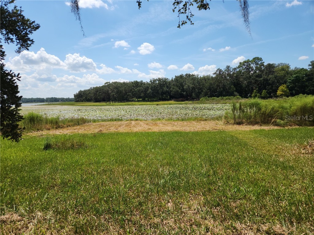 Lot 53 SW Shorewood Drive Dunnellon FL 34431 OM709974 image2