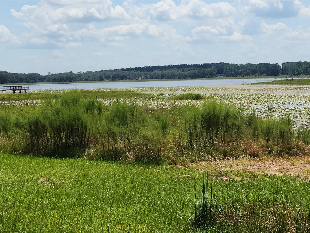 Lot 53 SW Shorewood Drive Dunnellon FL 34431 OM709974 image3