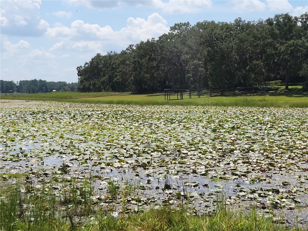 Lot 53 SW Shorewood Drive Dunnellon FL 34431 OM709974 image4