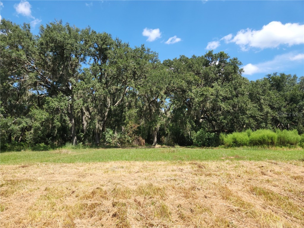 Lot 53 SW Shorewood Drive Dunnellon FL 34431 OM709974 image5