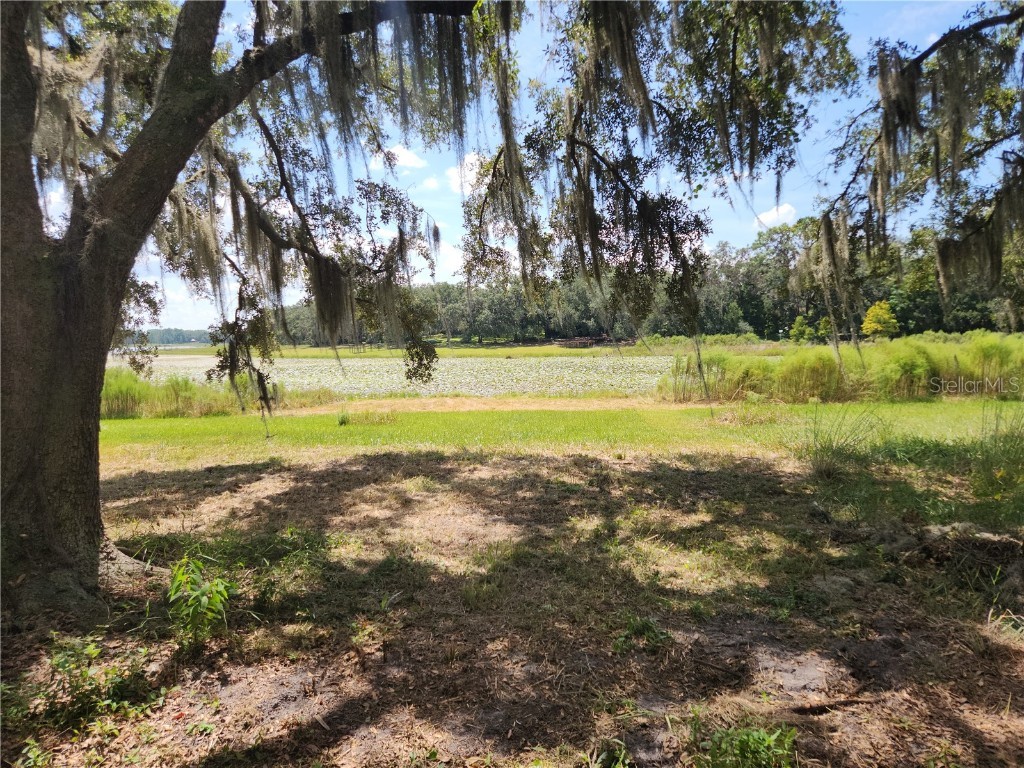 Lot 53 SW Shorewood Drive Dunnellon FL 34431 OM709974 image6