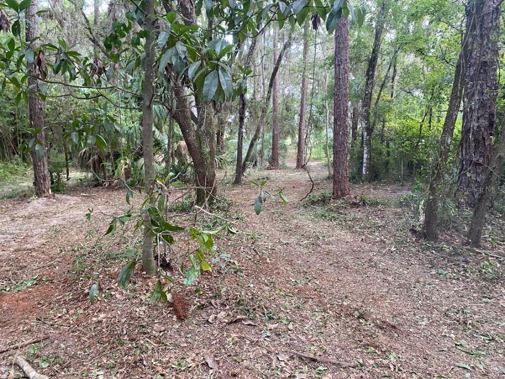 Lot 53 SW Shorewood Drive Dunnellon FL 34431 OM709974 image7