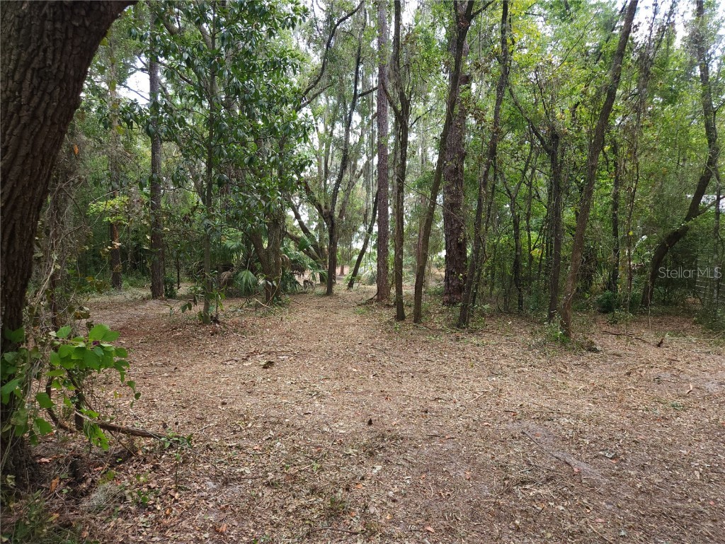 Lot 53 SW Shorewood Drive Dunnellon FL 34431 OM709974 image8