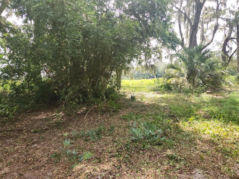 Lot 53 SW Shorewood Drive Dunnellon FL 34431 OM709974 image9