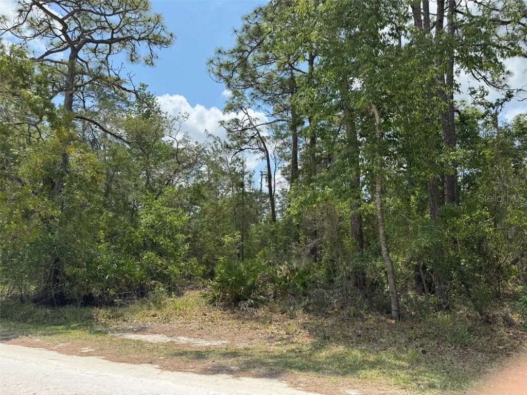 Lot 55 Nakoma Way Brooksville FL 34613 A4652970 image1