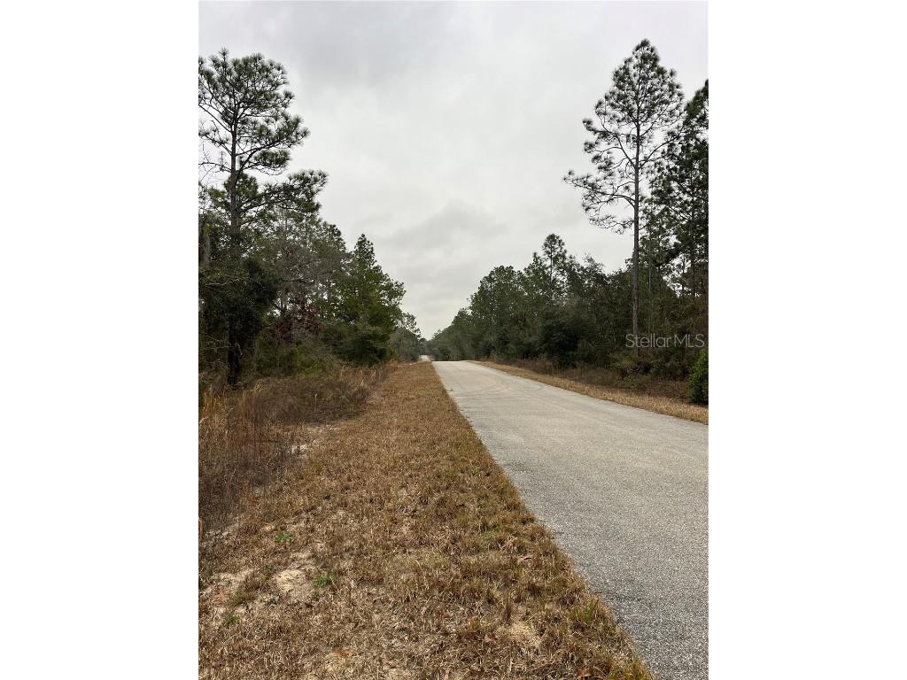 Lot 57 NW Skylark Street Dunnellon FL 34431 OM693611 image10