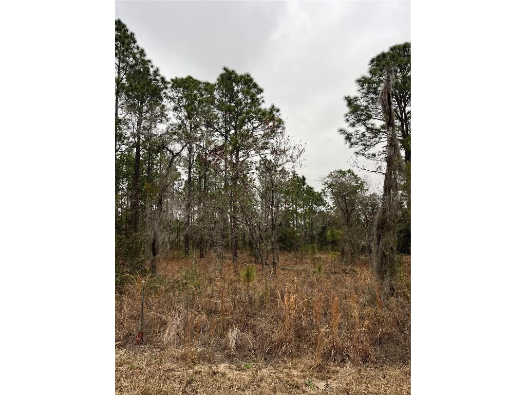 Lot 57 NW Skylark Street Dunnellon FL 34431 OM693611 image11
