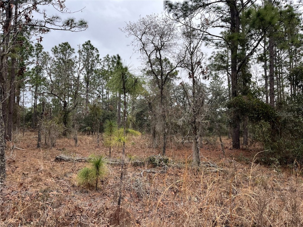 Lot 57 NW Skylark Street Dunnellon FL 34431 OM693611 image2