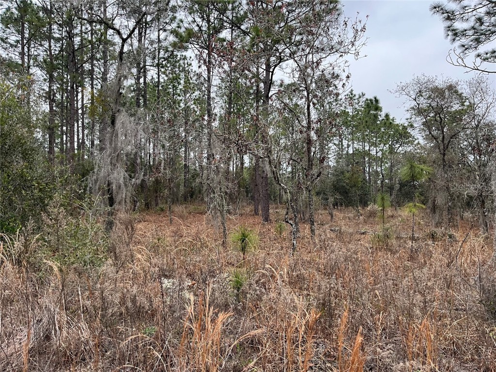 Lot 57 NW Skylark Street Dunnellon FL 34431 OM693611 image3