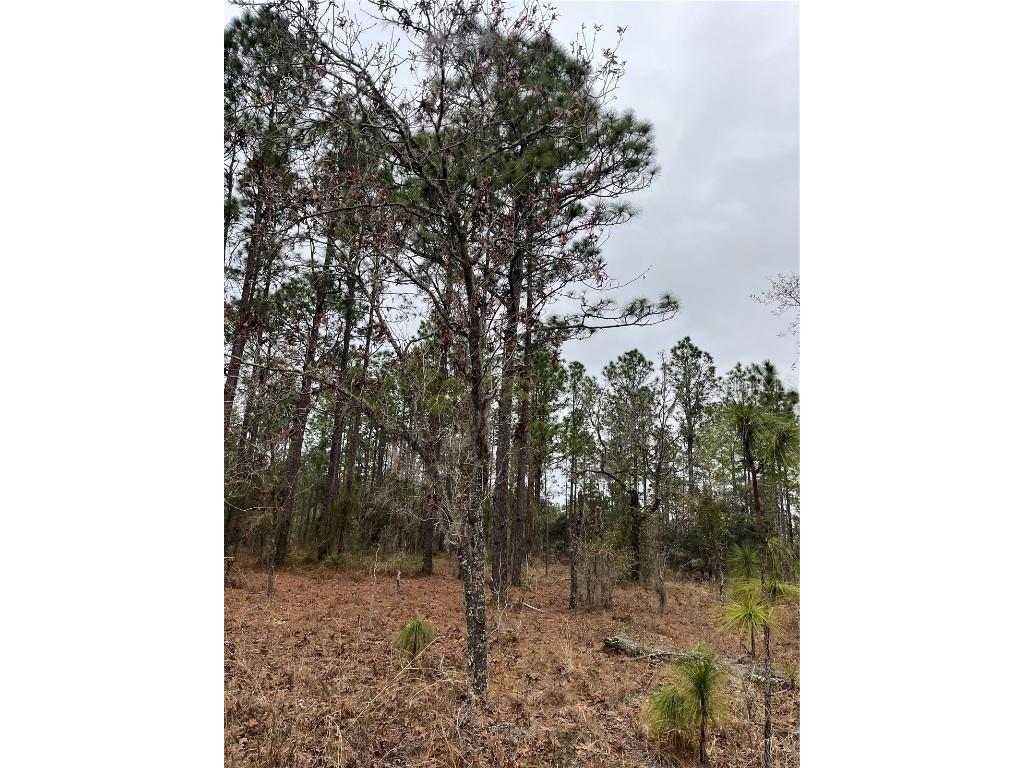 Lot 57 NW Skylark Street Dunnellon FL 34431 OM693611 image5