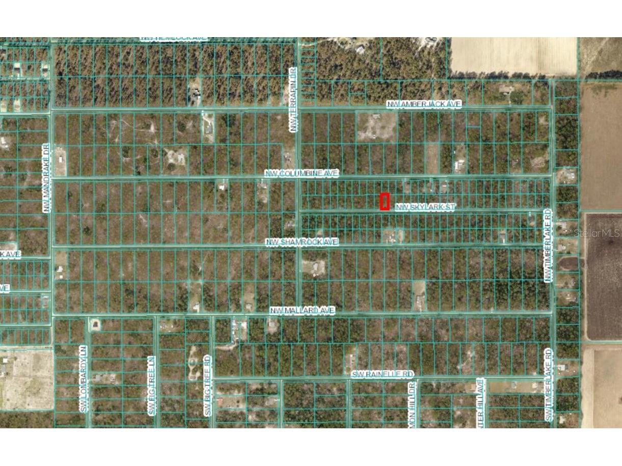 Lot 57 NW Skylark Street Dunnellon FL 34431 OM693611 image9