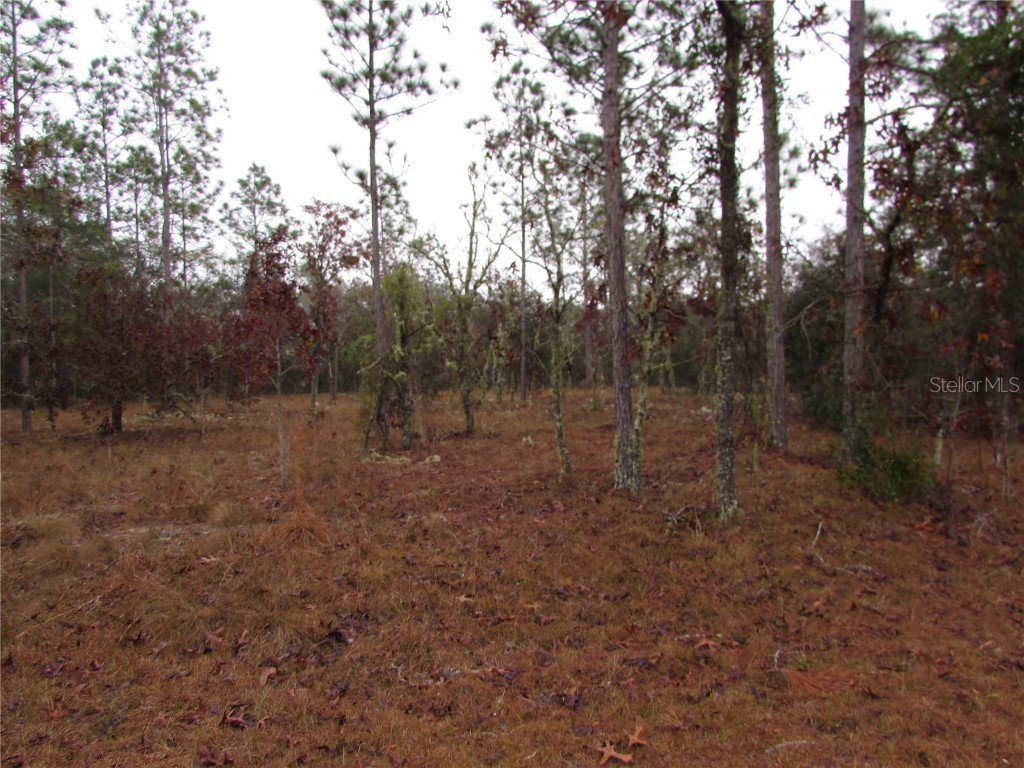 Lot 57 SE 131 Terrace Dunnellon FL 34431 OM691531 image1