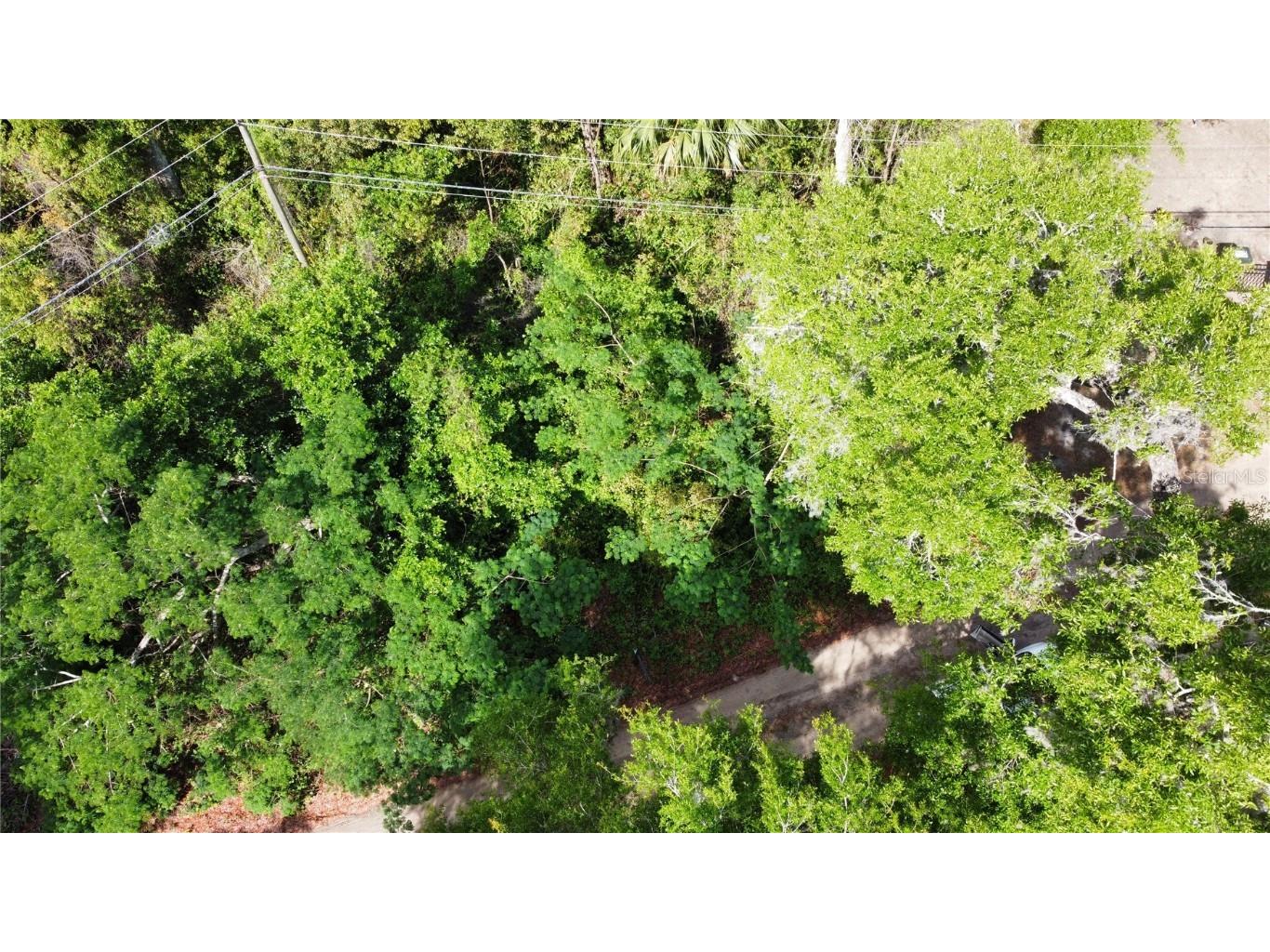 Lot 58 and 59 Paducah Street Sorrento FL 32776 OM692000 image1