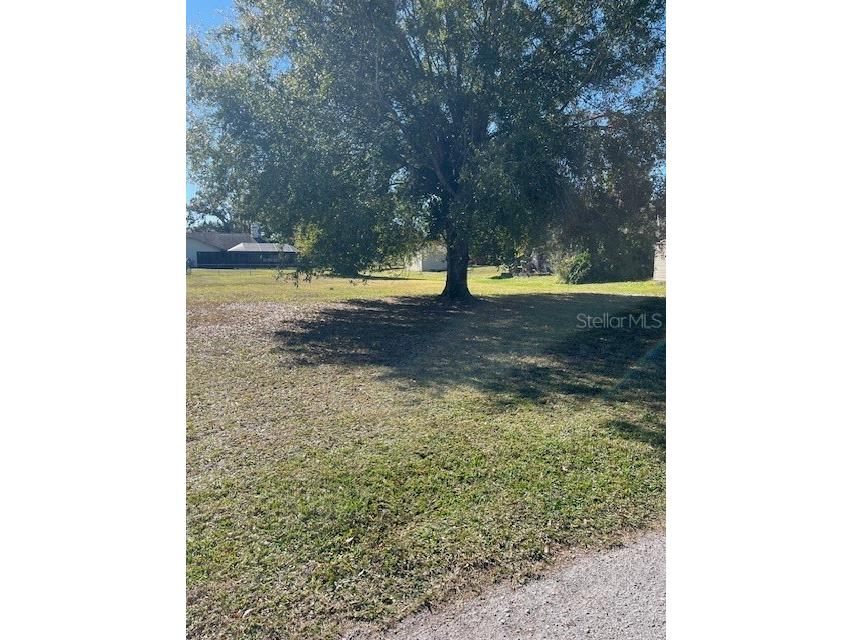 Lot 589 Marie Drive Zephyrhills FL 33541 TB8455931 image6