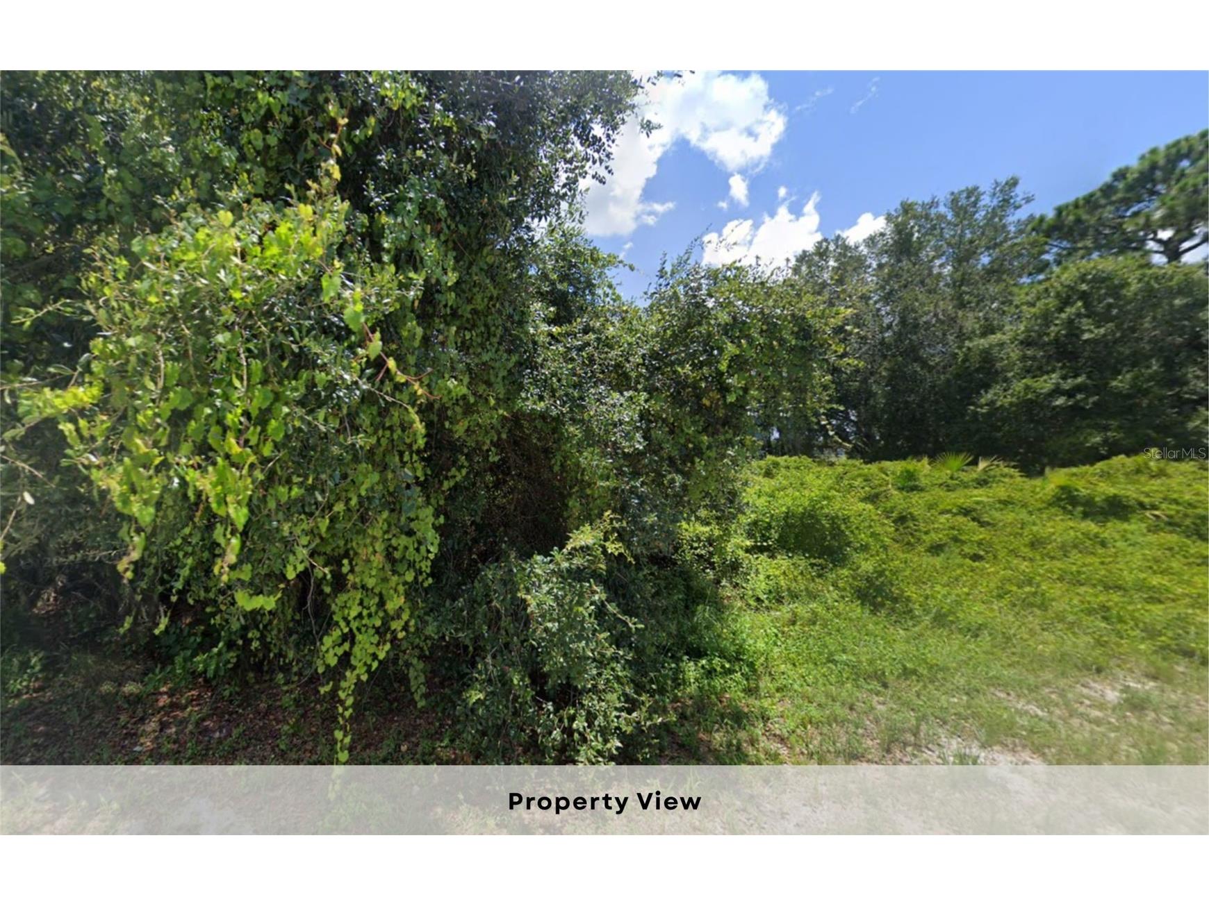 Lot 6 & 7 Constitution Drive North Port FL 34291 OM728309 image6