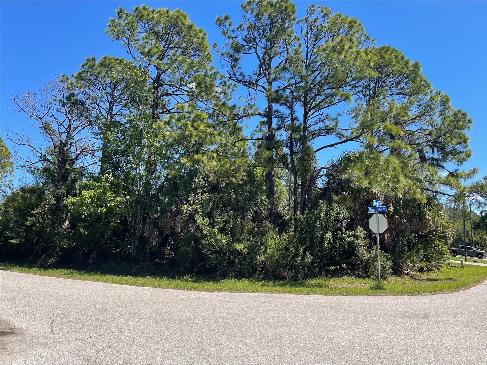 Lot 6 Bamonte Street North Port FL 34286 C7523607 image1