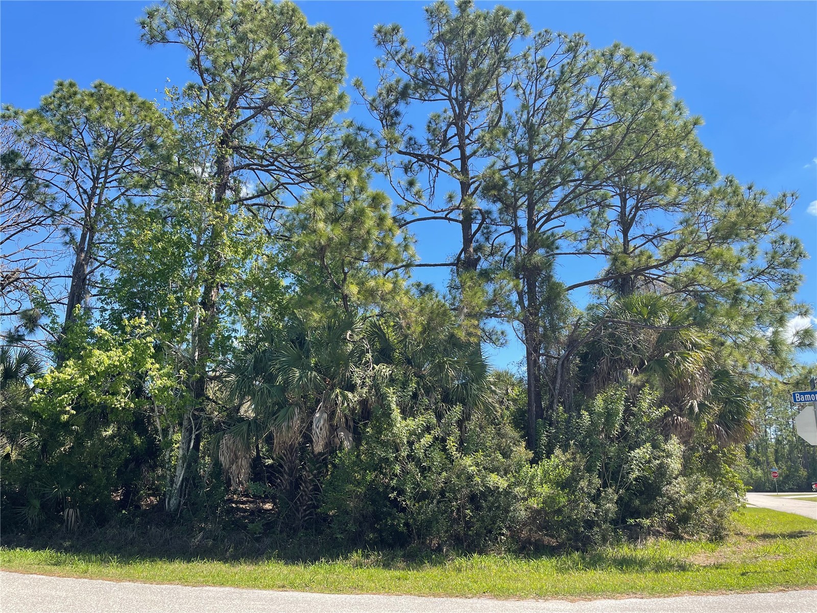 Lot 6 Bamonte Street North Port FL 34286 C7523607 image3