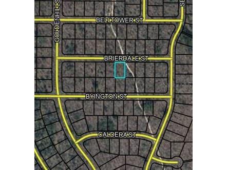 Lot 6 Brierdale Street Chipley FL 32428 OM699708 image2