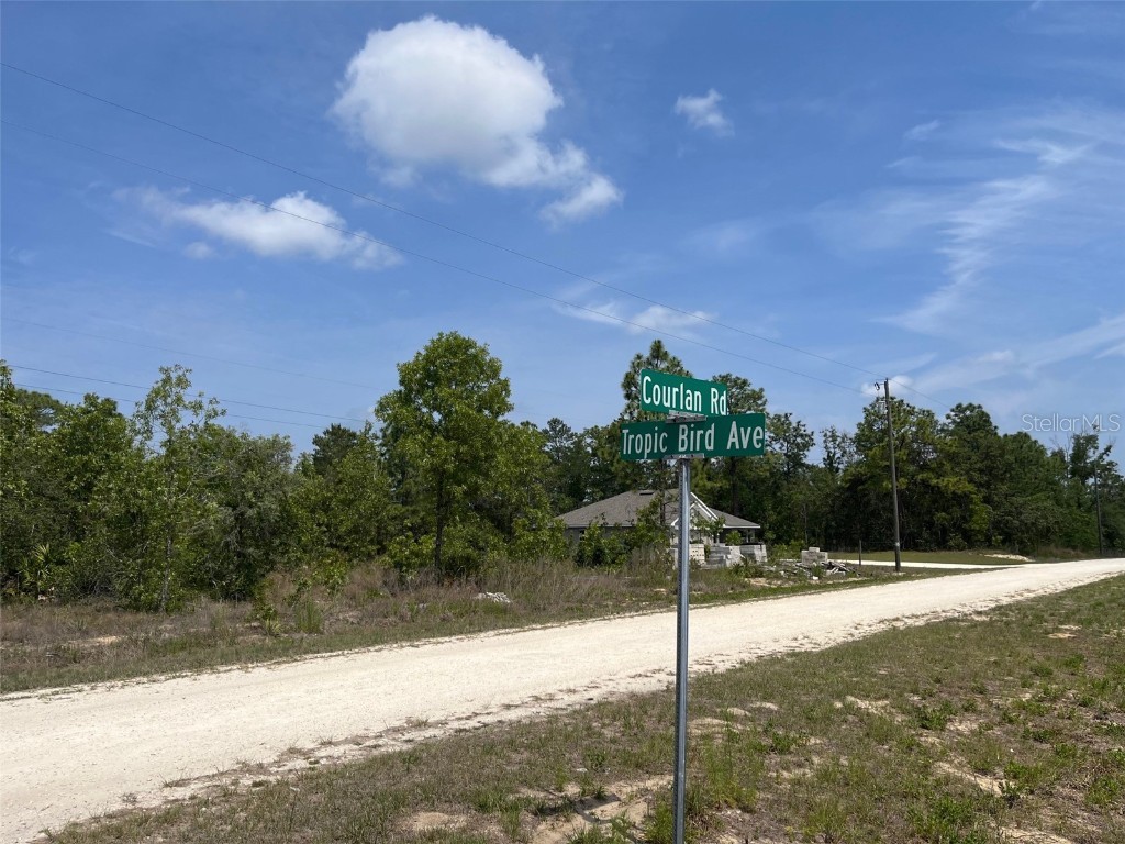 Lot 6 Courlan Road Weeki Wachee FL 34614 W7854753 image1