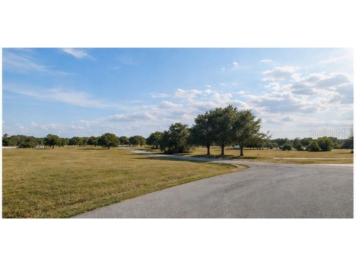 Lot #6 Eagle Run Groveland FL 34736 - Lake Morgan Palatlakaha River O6383118 image10