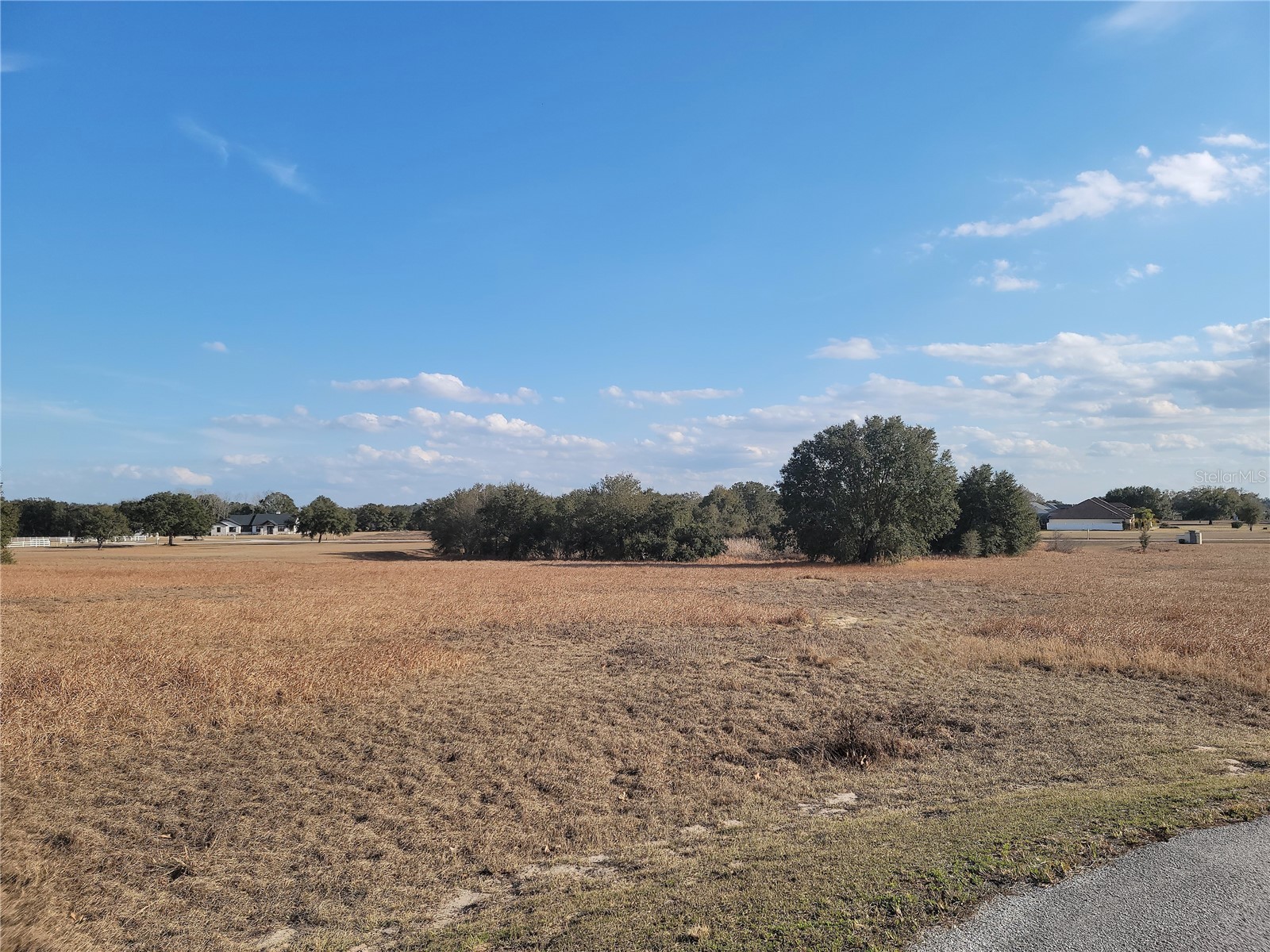 Lot #6 Eagle Run Groveland FL 34736 - Lake Morgan Palatlakaha River O6383118 image13