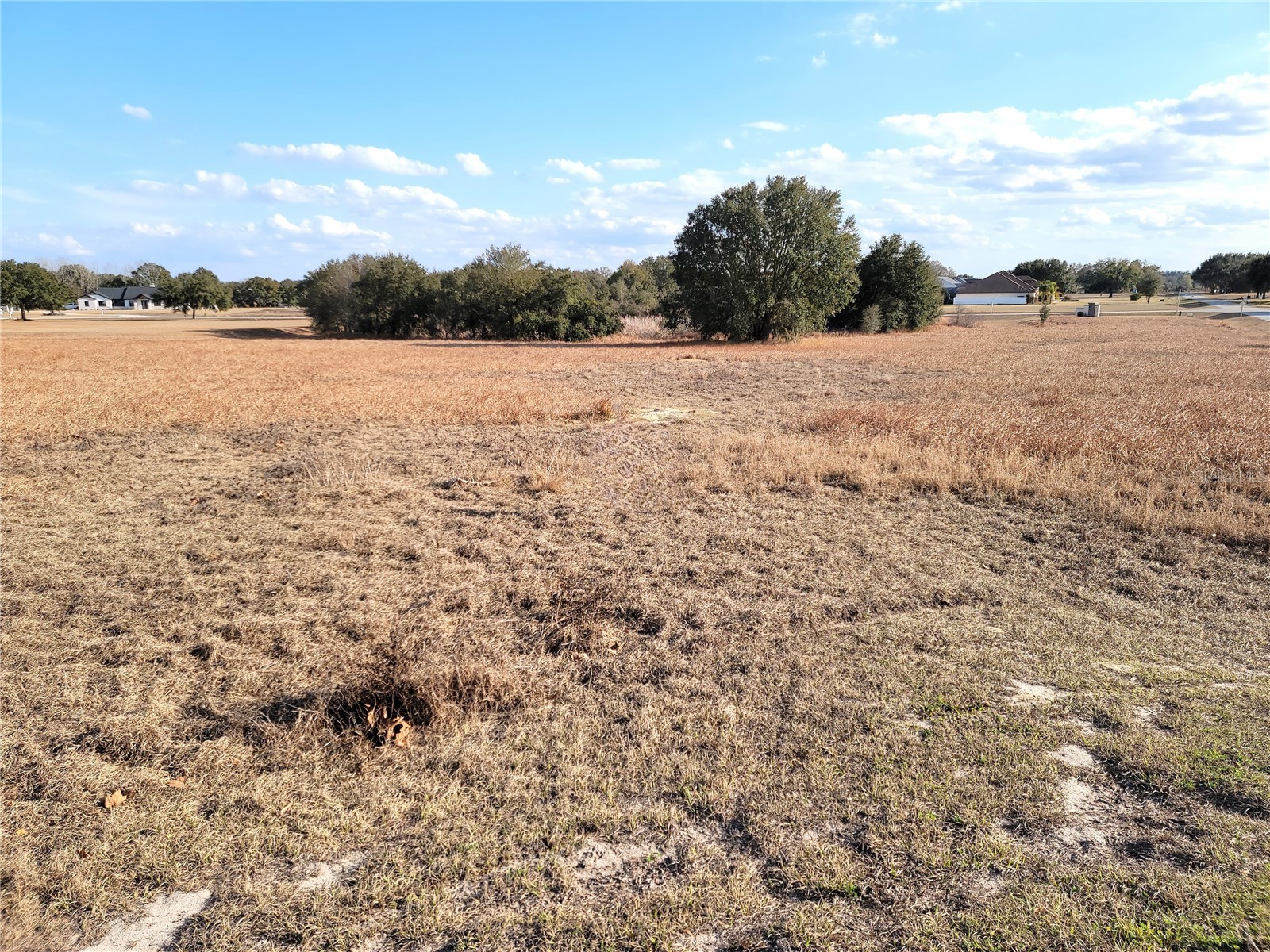 Lot #6 Eagle Run Groveland FL 34736 - Lake Morgan Palatlakaha River O6383118 image3