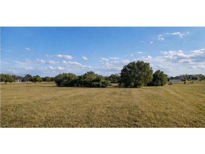 Lot #6 Eagle Run Groveland FL 34736 - Lake Morgan Palatlakaha River O6383118 image4