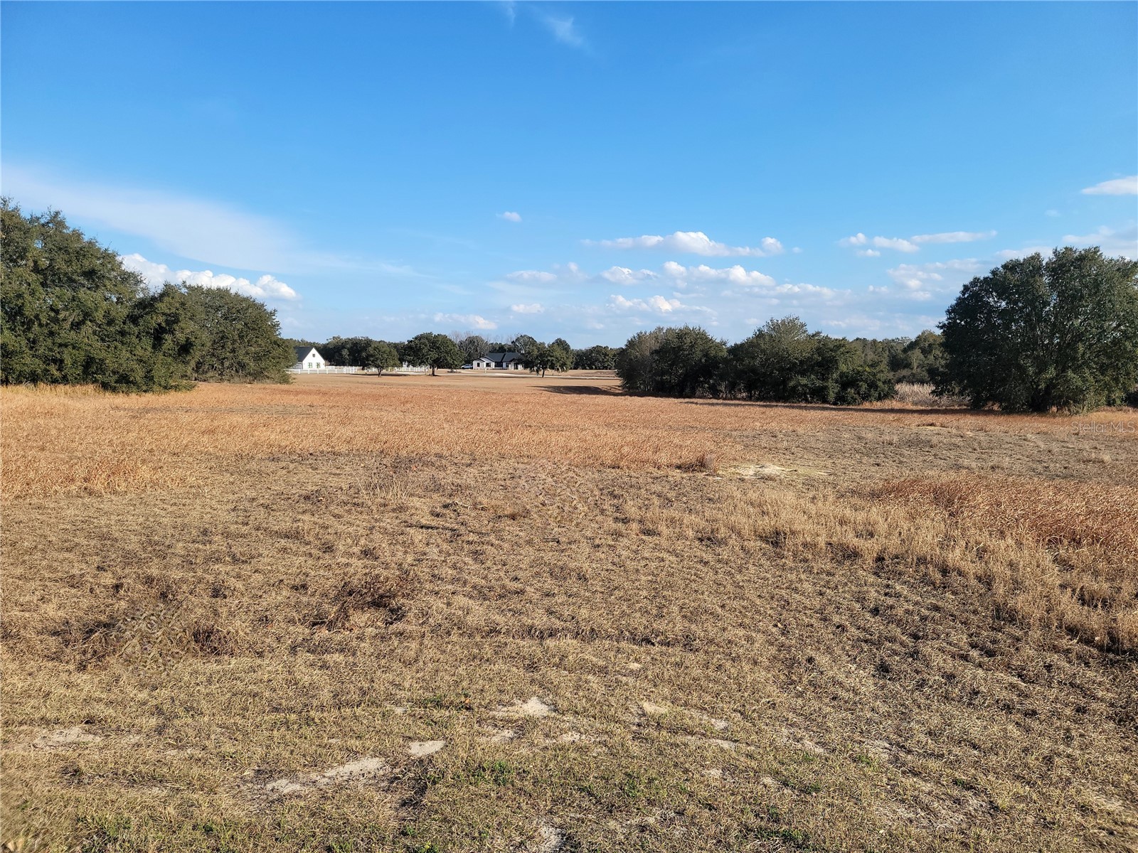 Lot #6 Eagle Run Groveland FL 34736 - Lake Morgan Palatlakaha River O6383118 image5