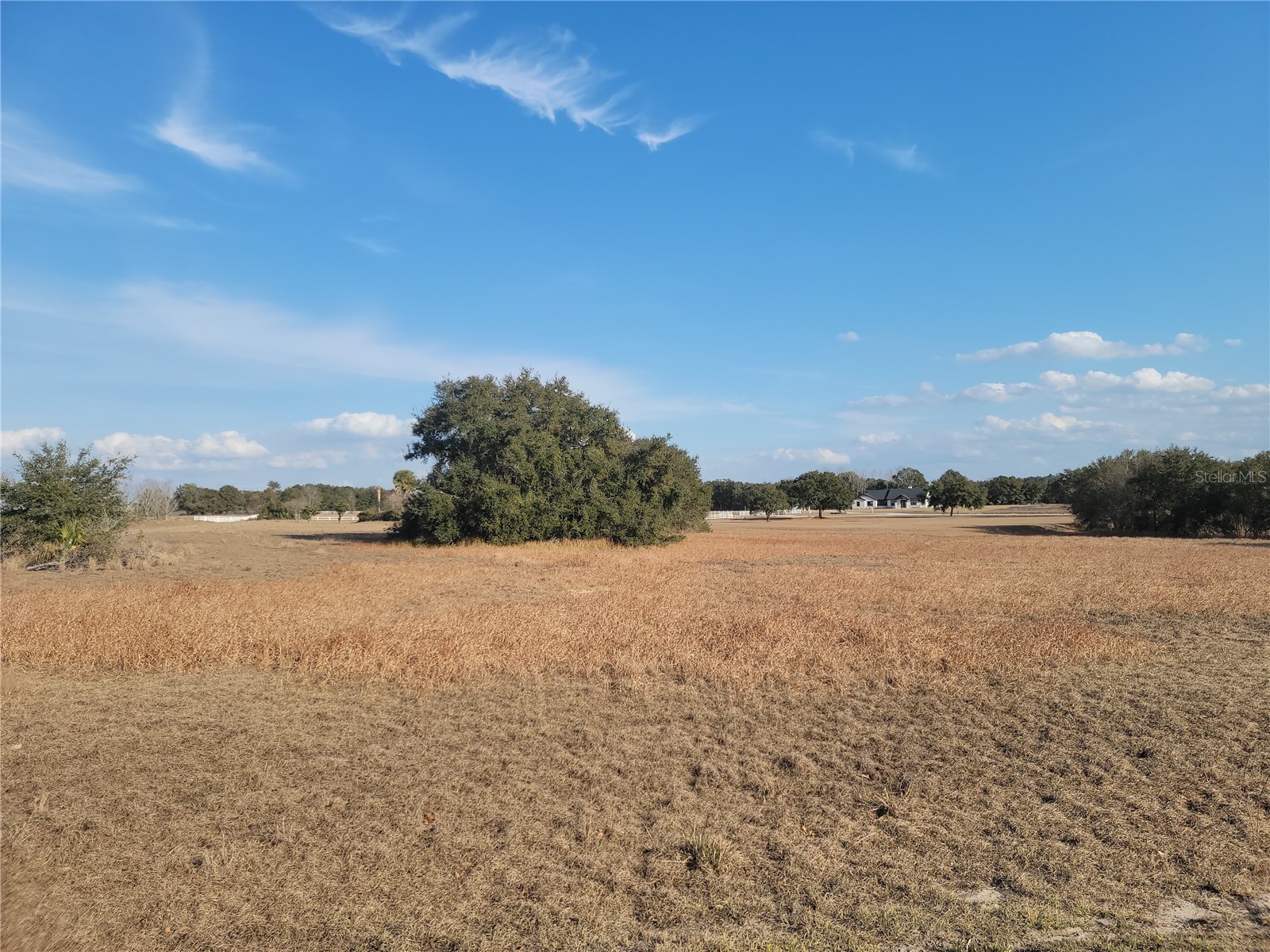 Lot #6 Eagle Run Groveland FL 34736 - Lake Morgan Palatlakaha River O6383118 image9