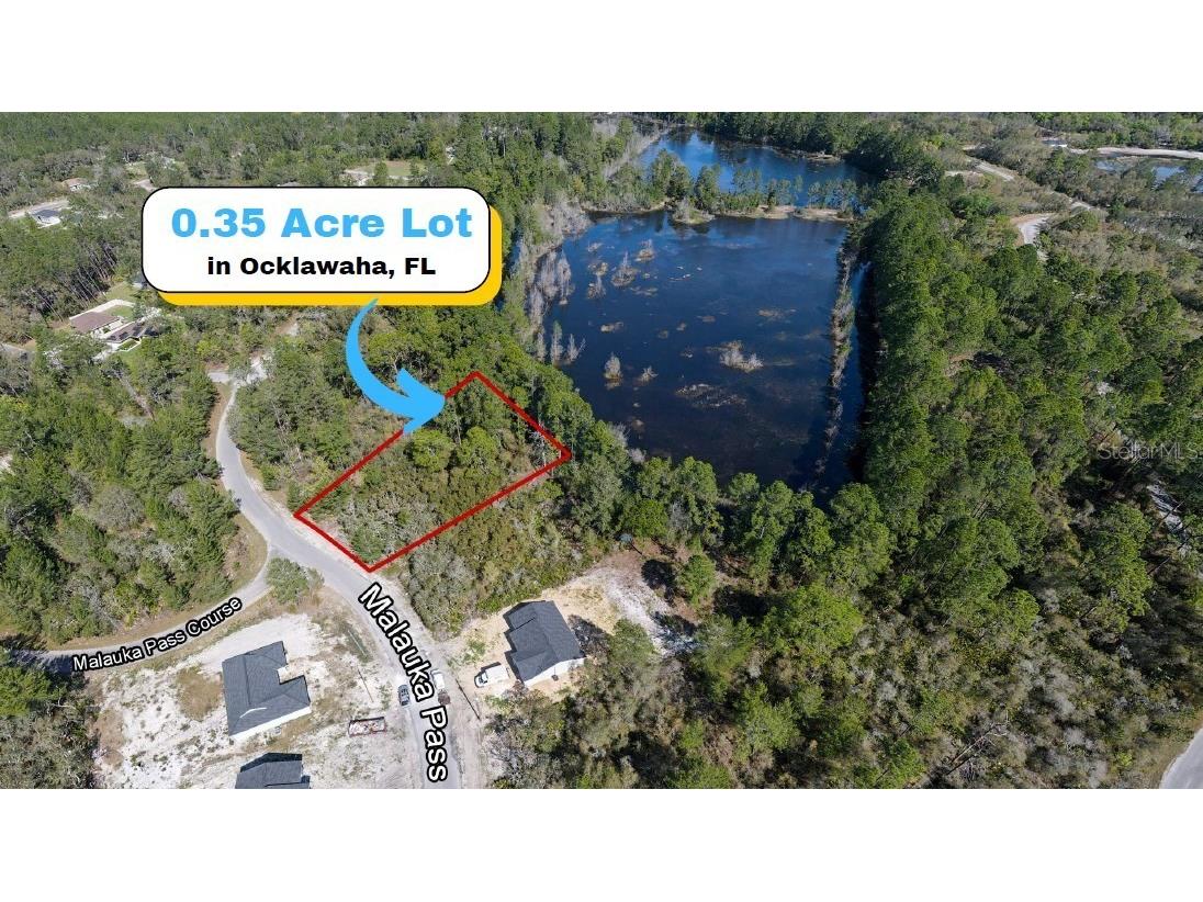 Lot 6 Malauka Pass Ocklawaha FL 32179 A4604467 image1