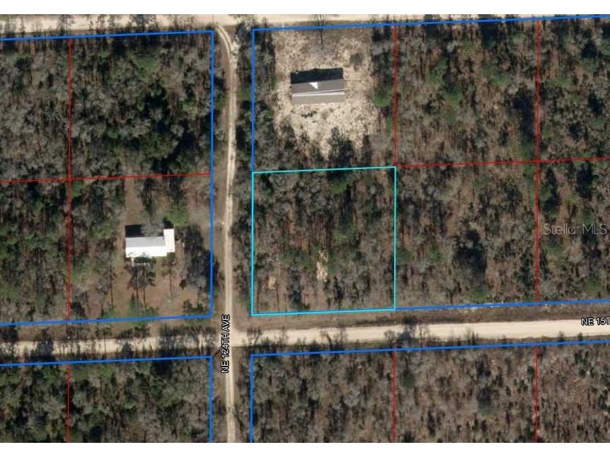 Lot 6 NE 124th Street Williston FL 32696 OM709739 image1