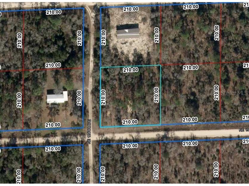 Lot 6 NE 124th Street Williston FL 32696 OM709739 image2