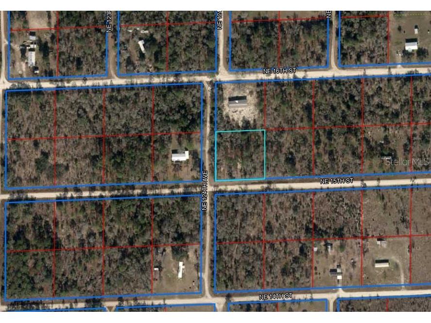 Lot 6 NE 124th Street Williston FL 32696 OM709739 image3