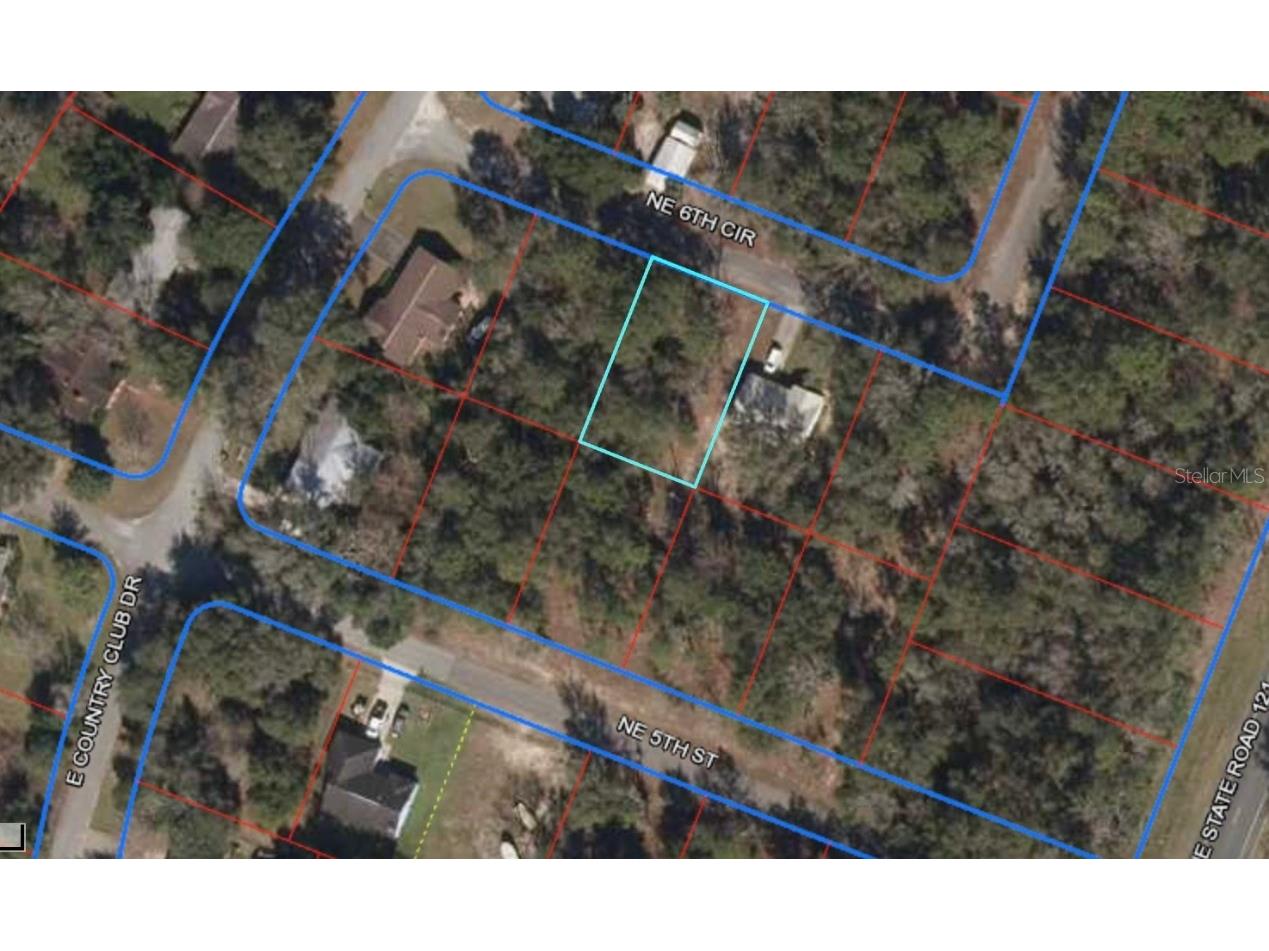 Lot 6 NE 6 Circle Williston FL 32696 OM680185 image1