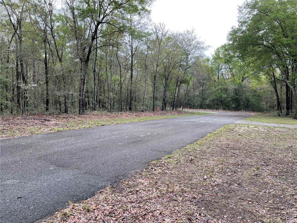 Lot 6 NE 6 Circle Williston FL 32696 OM680185 image3