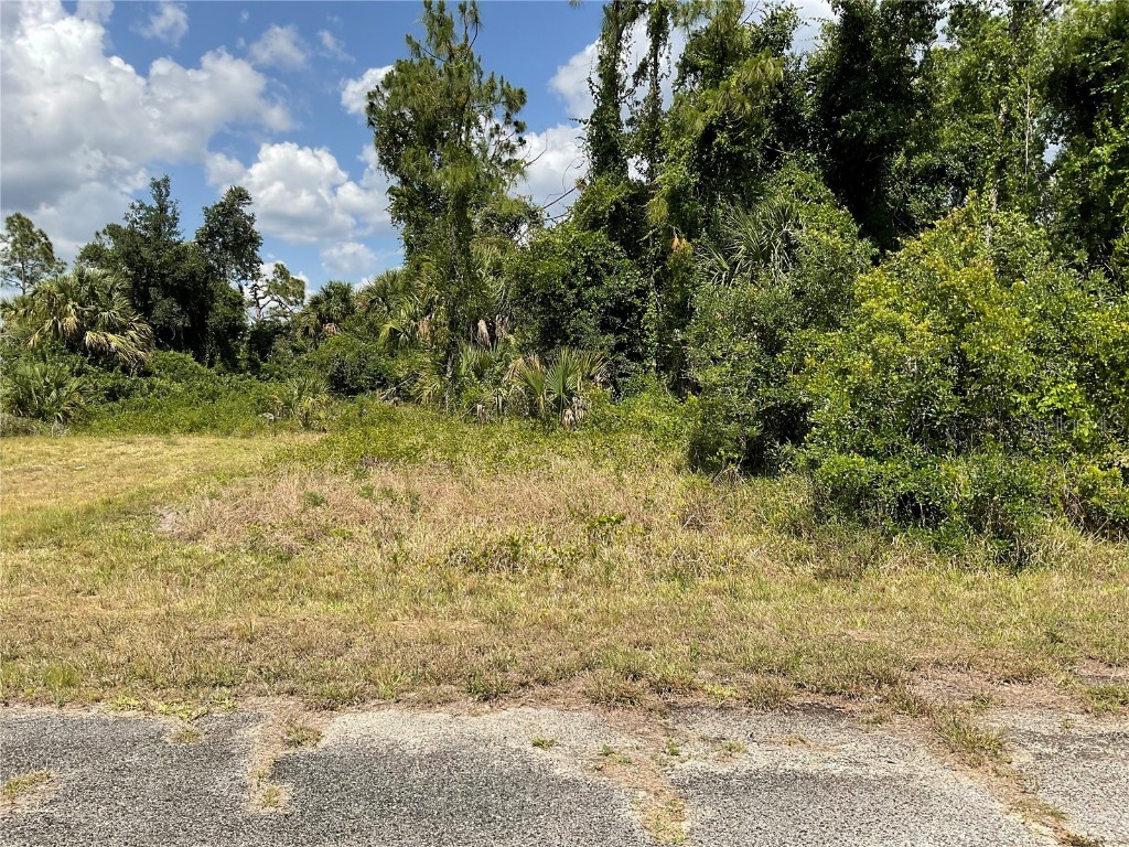 Lot 6 Peale Circle North Port FL 34288 D6139685 image1