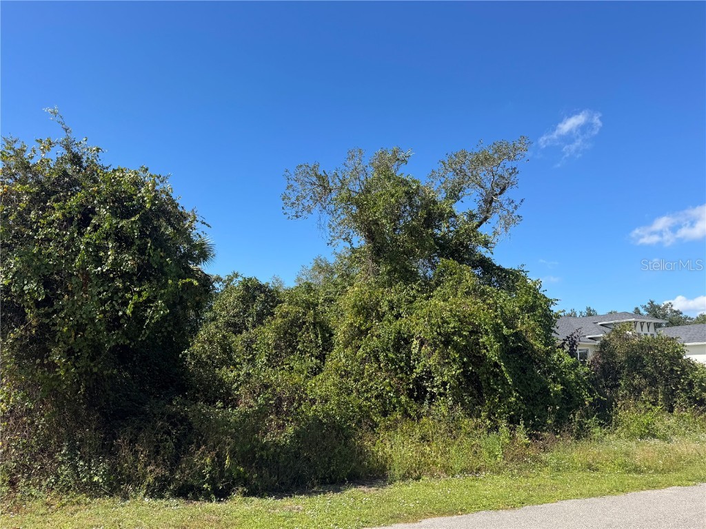 Lot 6 Saturday Street North Port FL 34288 A4670360 image3
