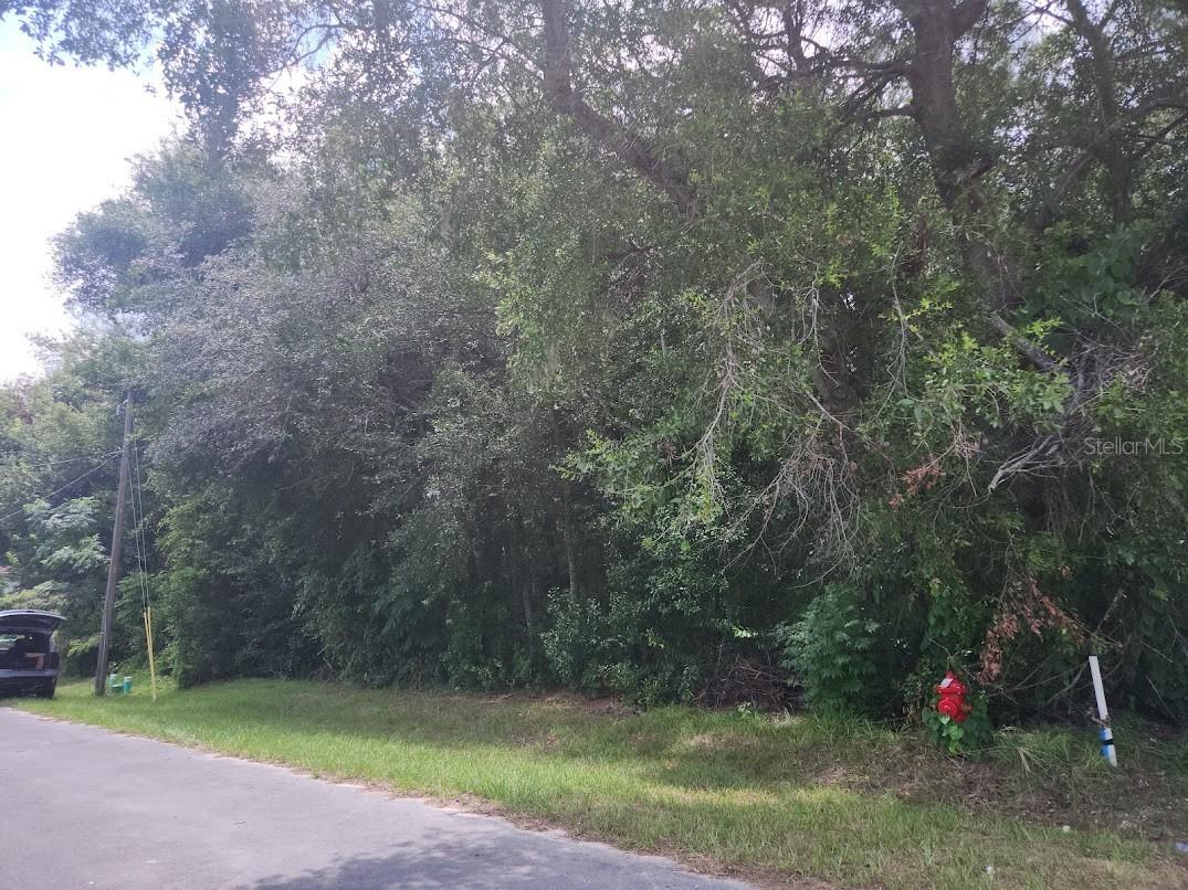Lot 6 SE Bahia Ct. Terrace Ocala FL 34472 OM707622 image1