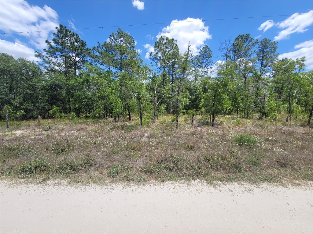 Lot 6 SW 121st Terrace Dunnellon FL 34432 OM677950 image1