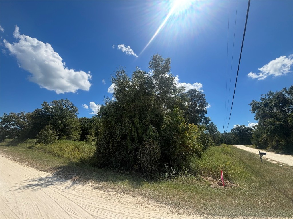 Lot 6 SW 141 Terrace Ocala FL 34481 OM710281 image5