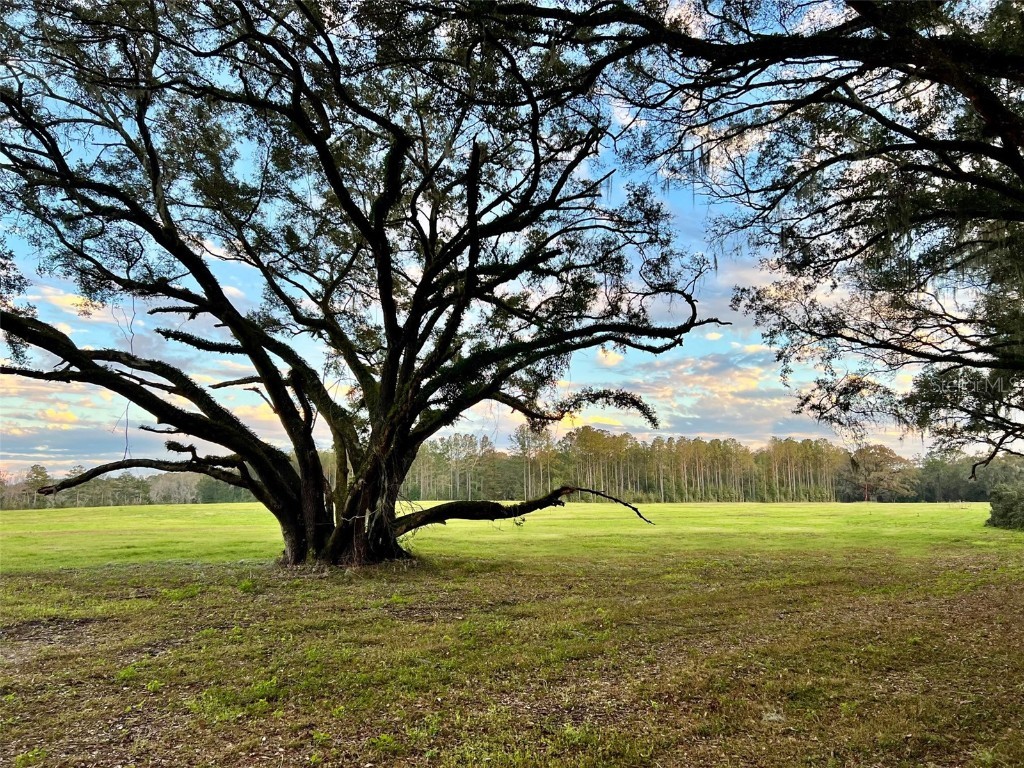 Lot 6 SW 15th Avenue Newberry FL 32669 GC510472 image1